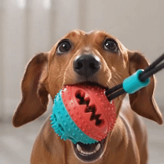 Interactive Tug-of-War Dog Chew Toy with Treat Ball
