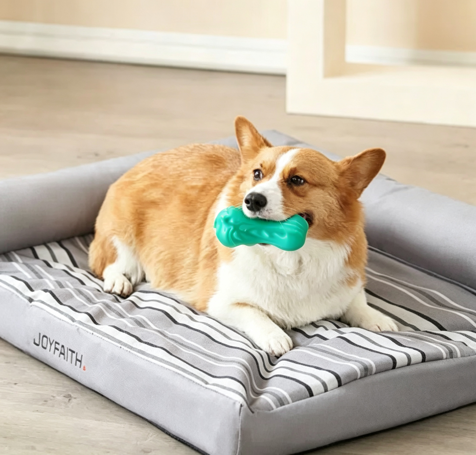 Cabbage Shape Squeaky Dog Chew Toy - 图片 3