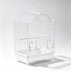 Classic White Arch Top Bird Cage Starter Kit