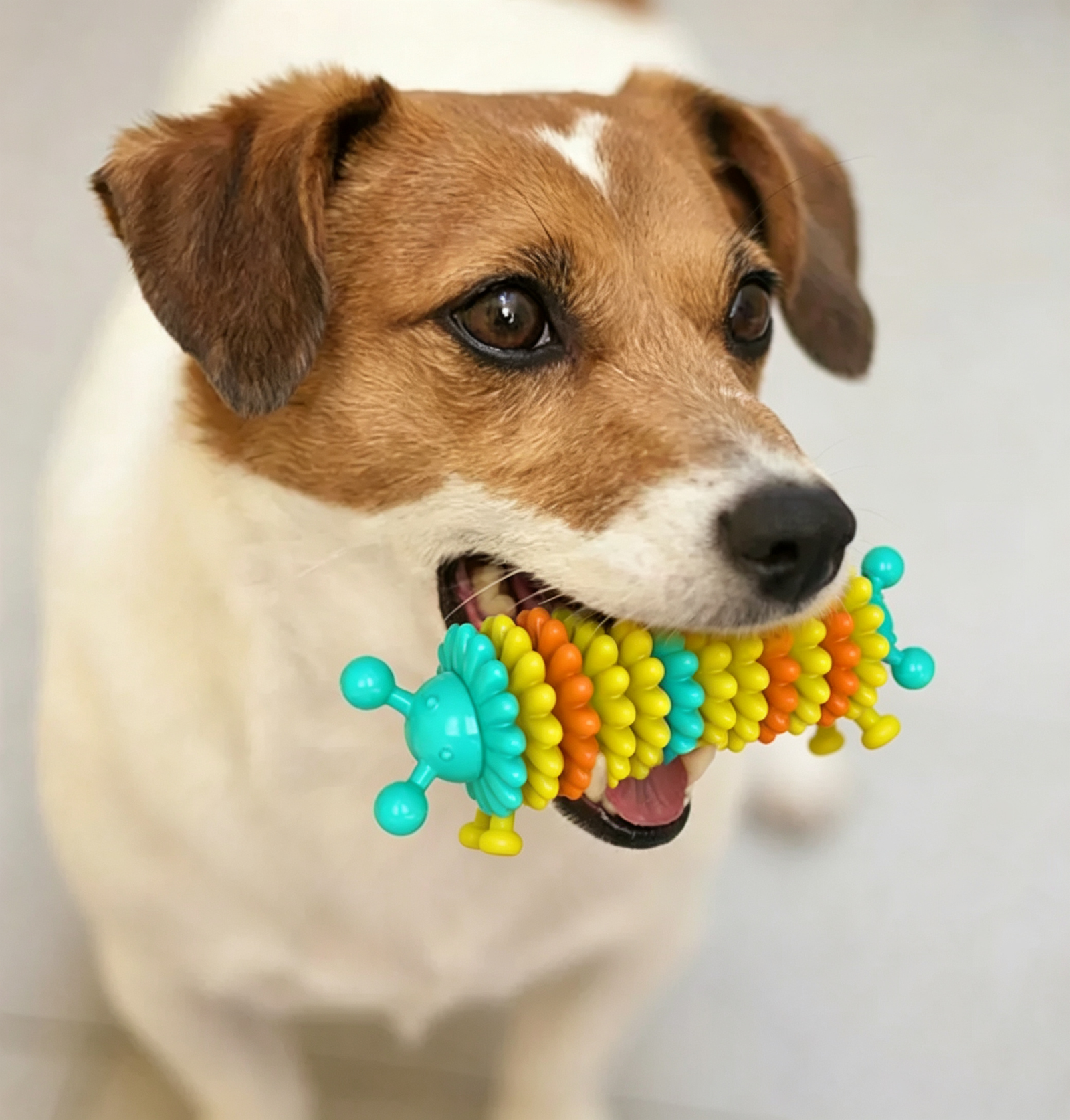 Antenna Caterpillar Dog Chew Toy, Textured Dental Toothbrush for Teeth Cleaning & Teething - 图片 2