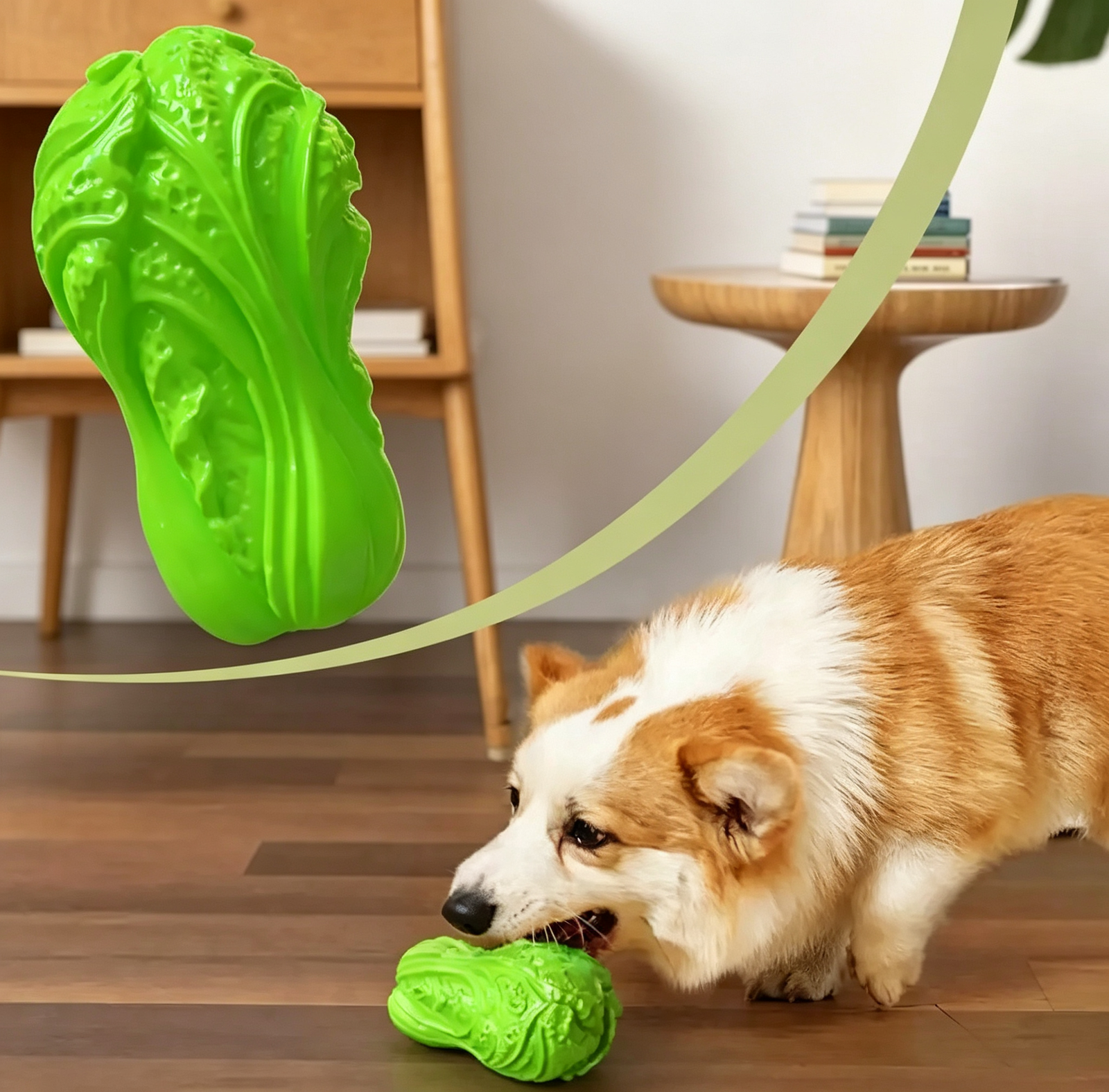 Cabbage Shape Squeaky Dog Chew Toy - 图片 2