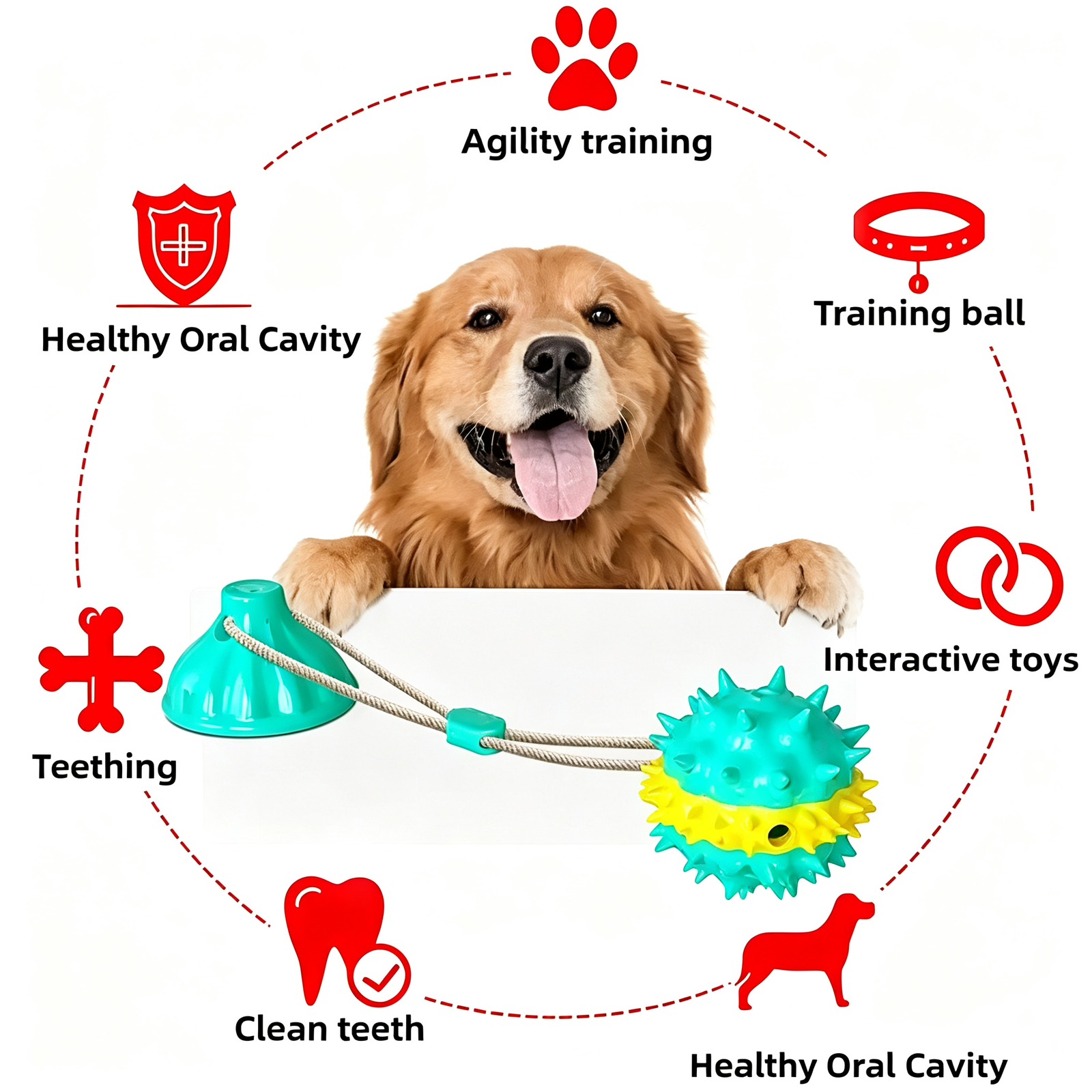 New Squeaky Suction Cup Dog Ball Toy, Interactive Treat Dispensing Tug Toy with Rope - 图片 4