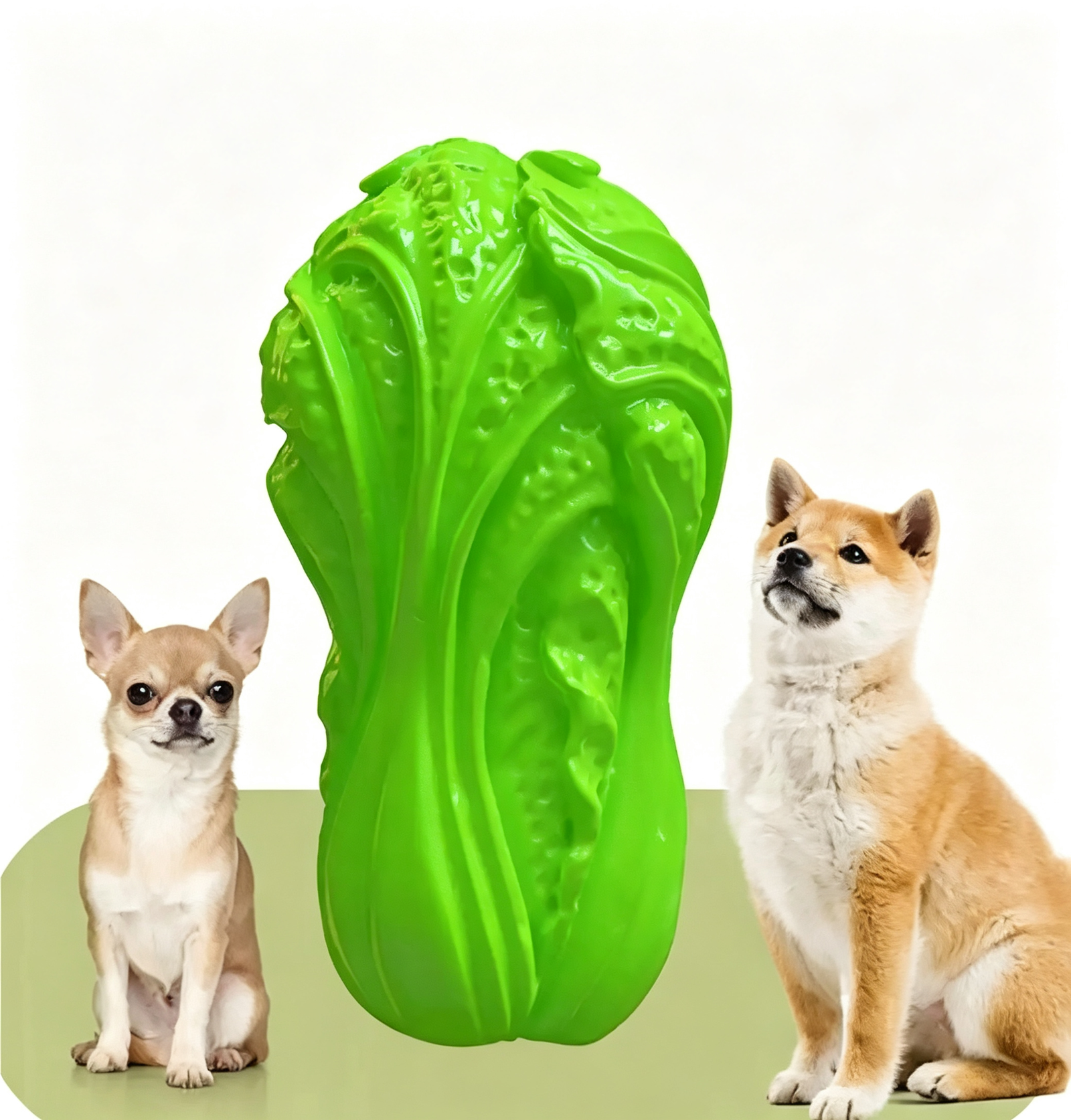 Cabbage Shape Squeaky Dog Chew Toy - 图片 4