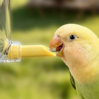 120ml Parrot Water Dispenser, No Drip Bird Water Bottle with 304 Stainless Steel Nozzle - 图片 3